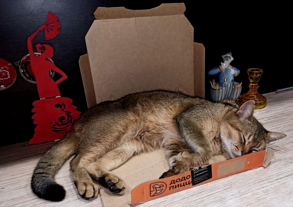 Photograph by Татьяна Рябова