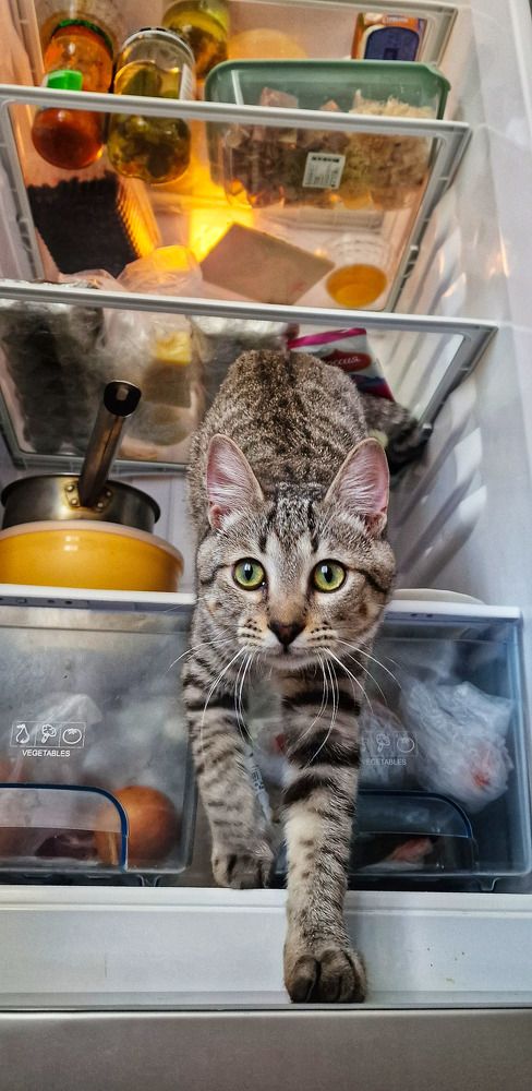 Что будешь ?