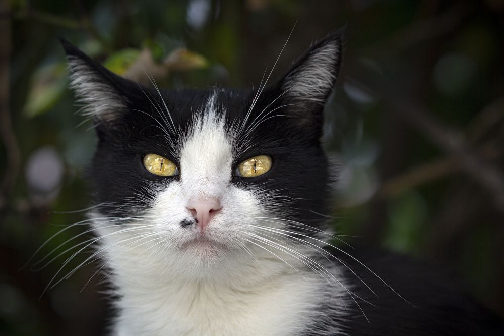 Photograph by Stamen Sotirov