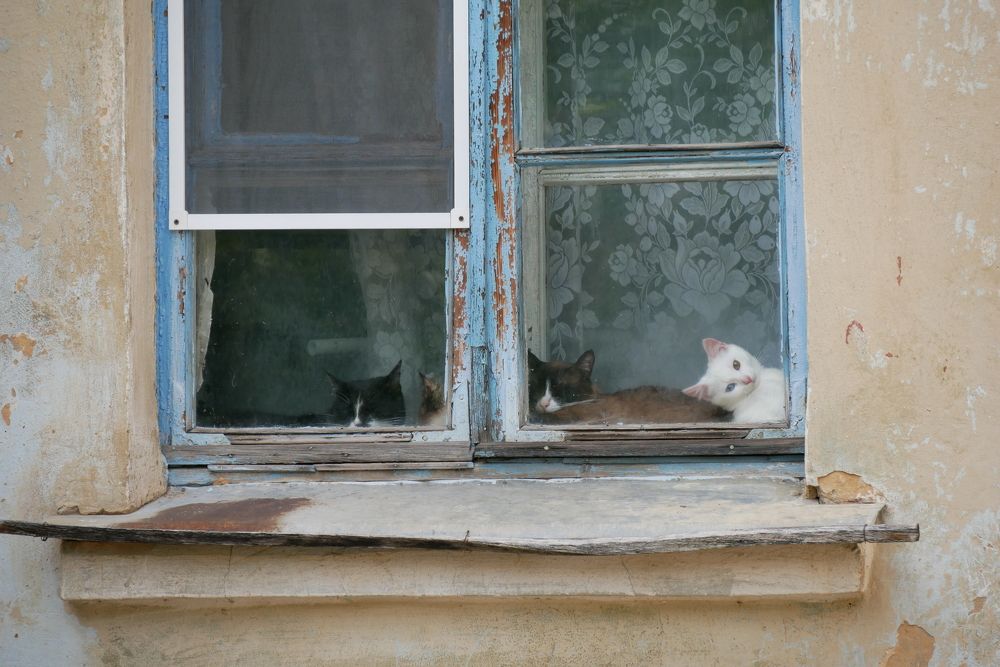 Photograph by Иван Скорик