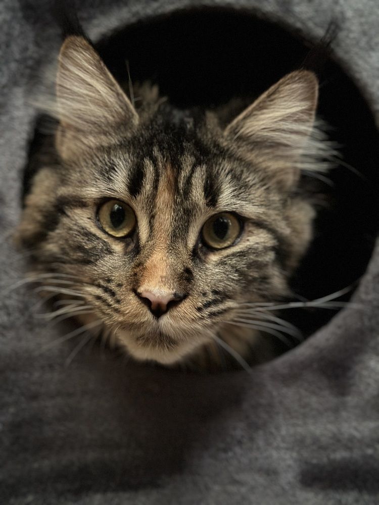 Photograph by Дмитрий Петренко