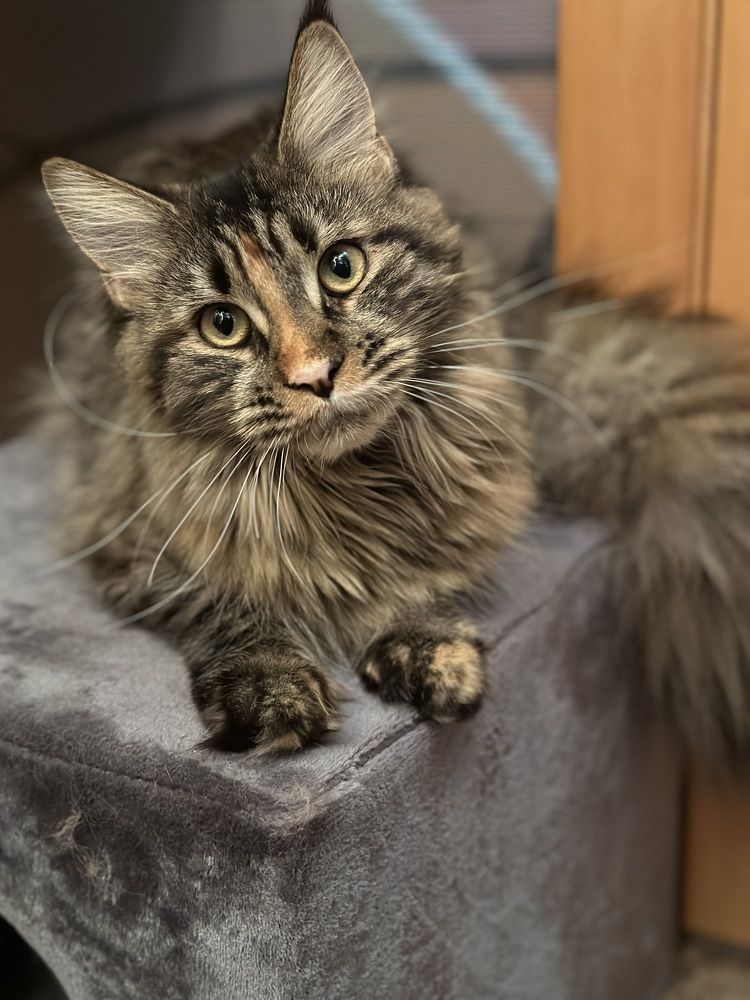 Photograph by Дмитрий Петренко