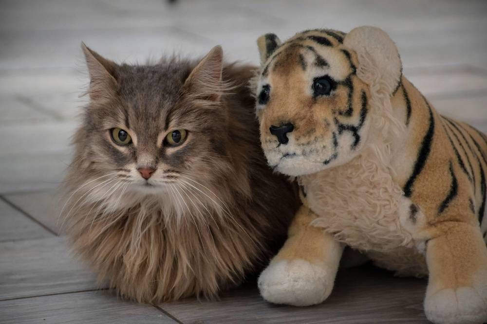 Photograph by Ольга Бурдюк