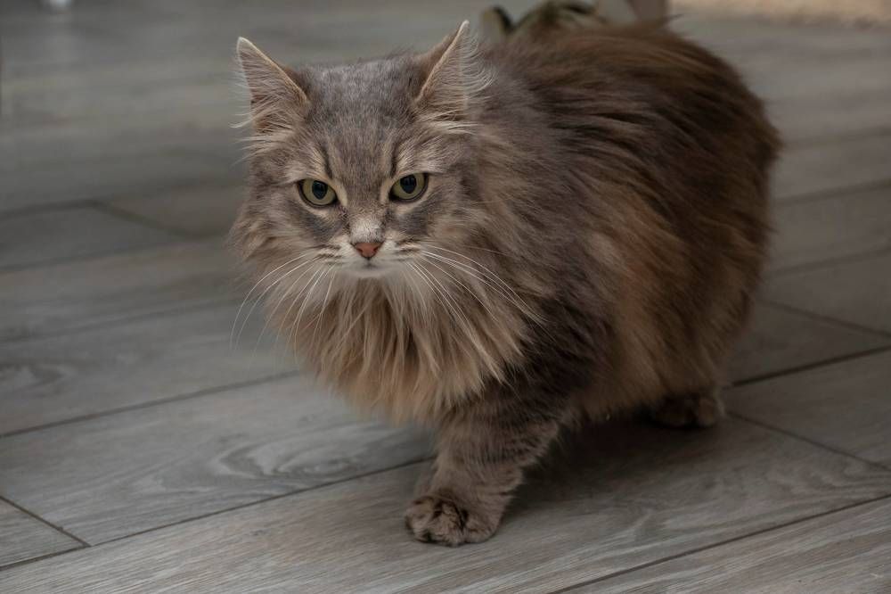 Photograph by Ольга Бурдюк