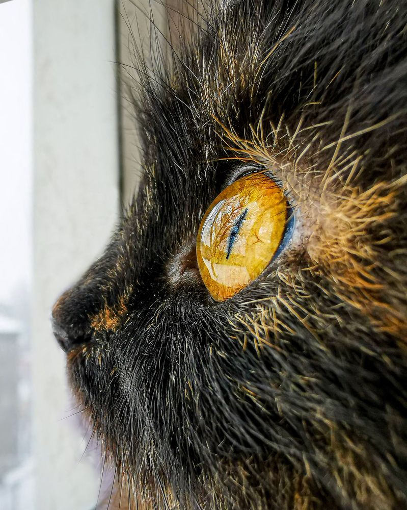 Фотография автора Дмитрий