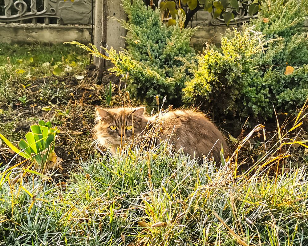 Фотография автора Дмитрий