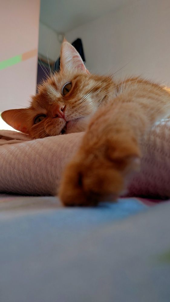 Photograph by Егор Кузин