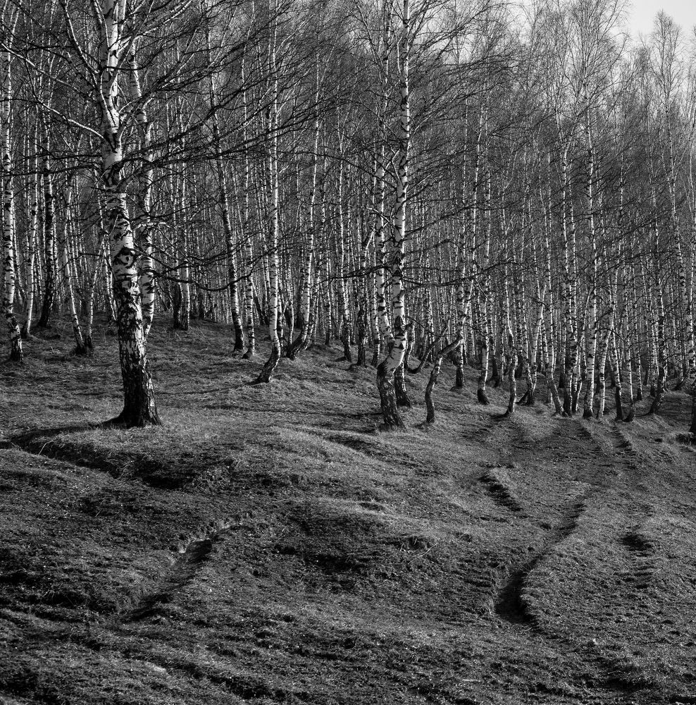 Photograph by Юрий Клишин