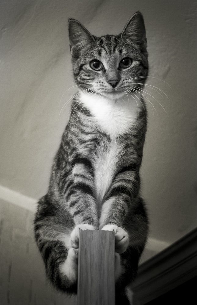 Photograph by Ольга Левакова