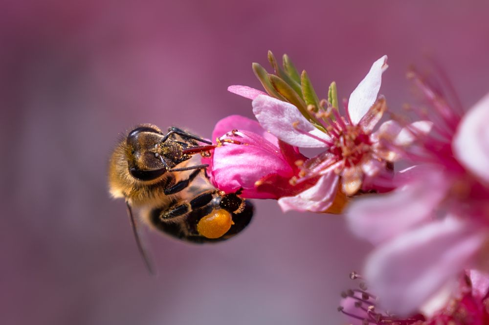 Photograph by Martin Nadymáček