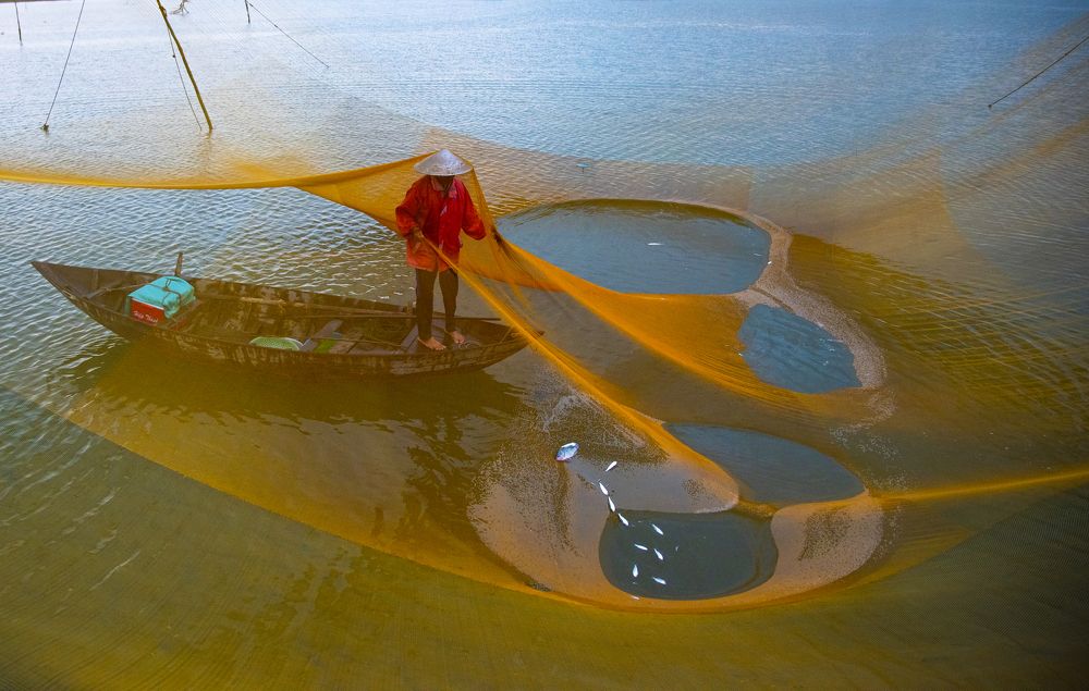 Photograph by Phuong Nguyen