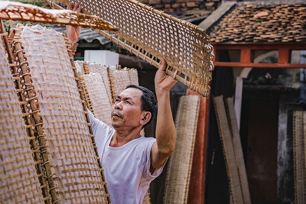 make fried spring roll