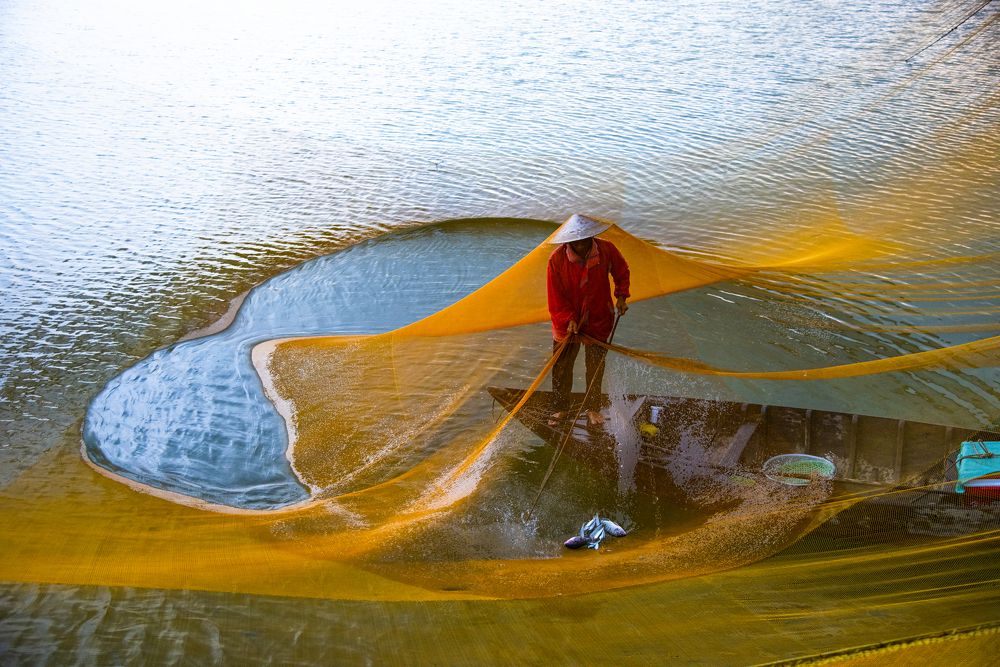 Photograph by Phuong Nguyen