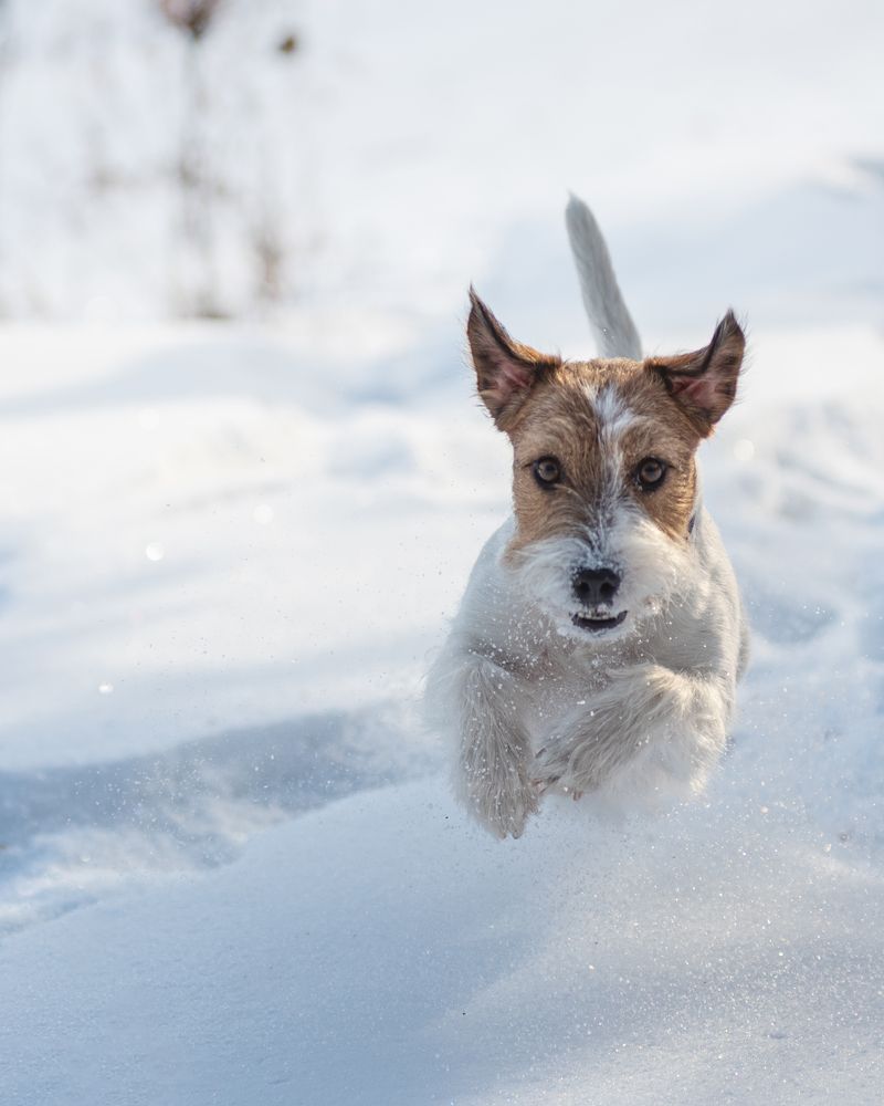 Photograph by Виктория Сафонова
