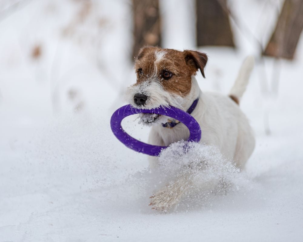 Photograph by Виктория Сафонова
