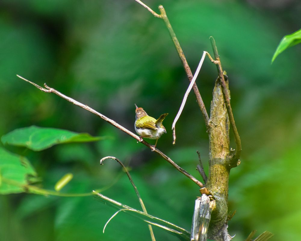 Photograph by Hussain Mahammad