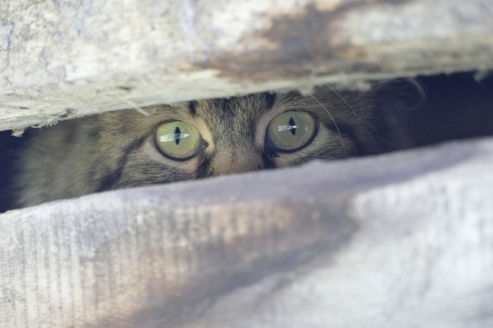 Photograph by Anastasia Perez