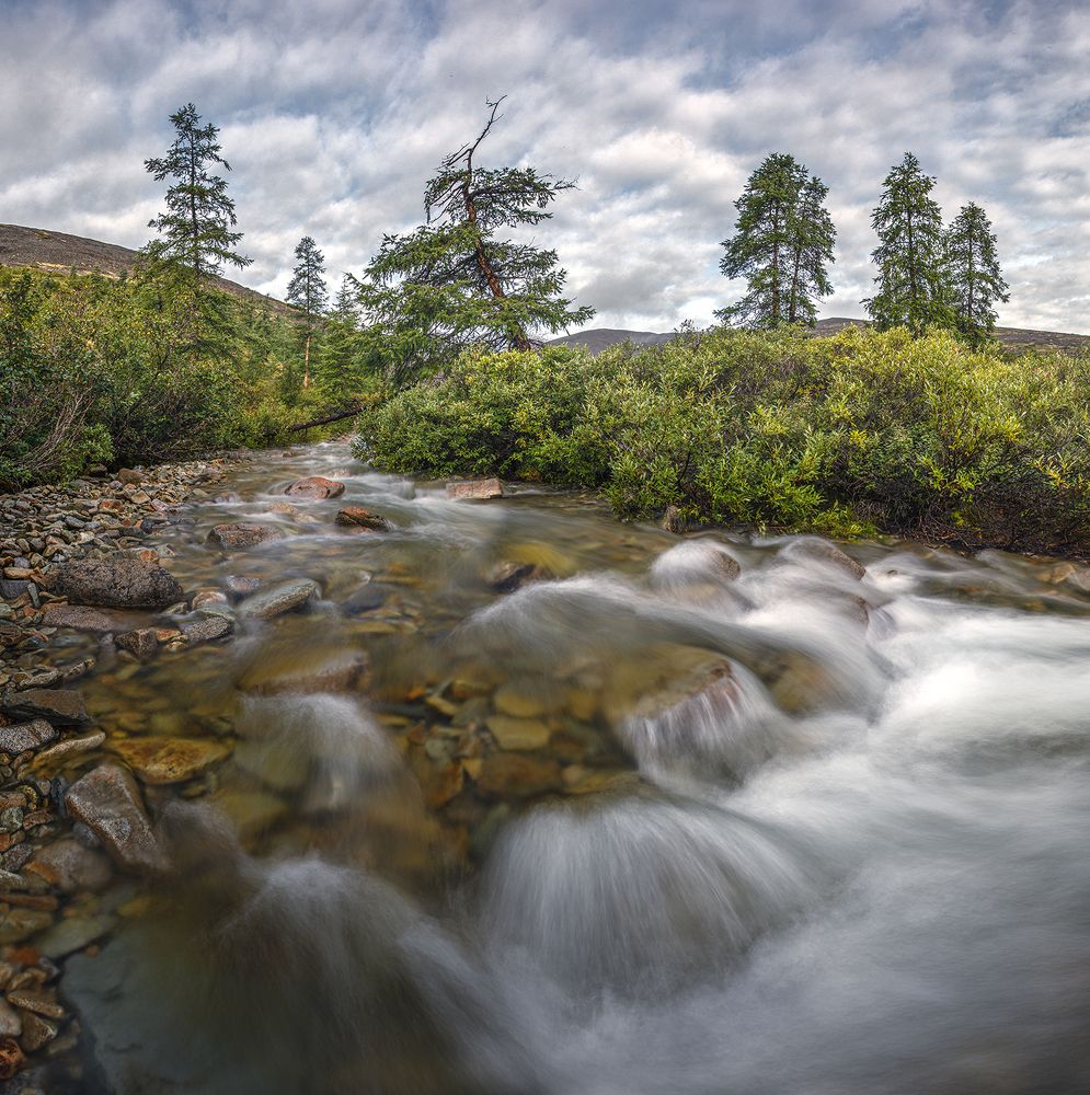 Photograph by Андреев Николай