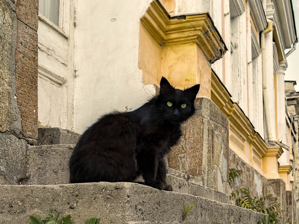 Photograph by Владимир