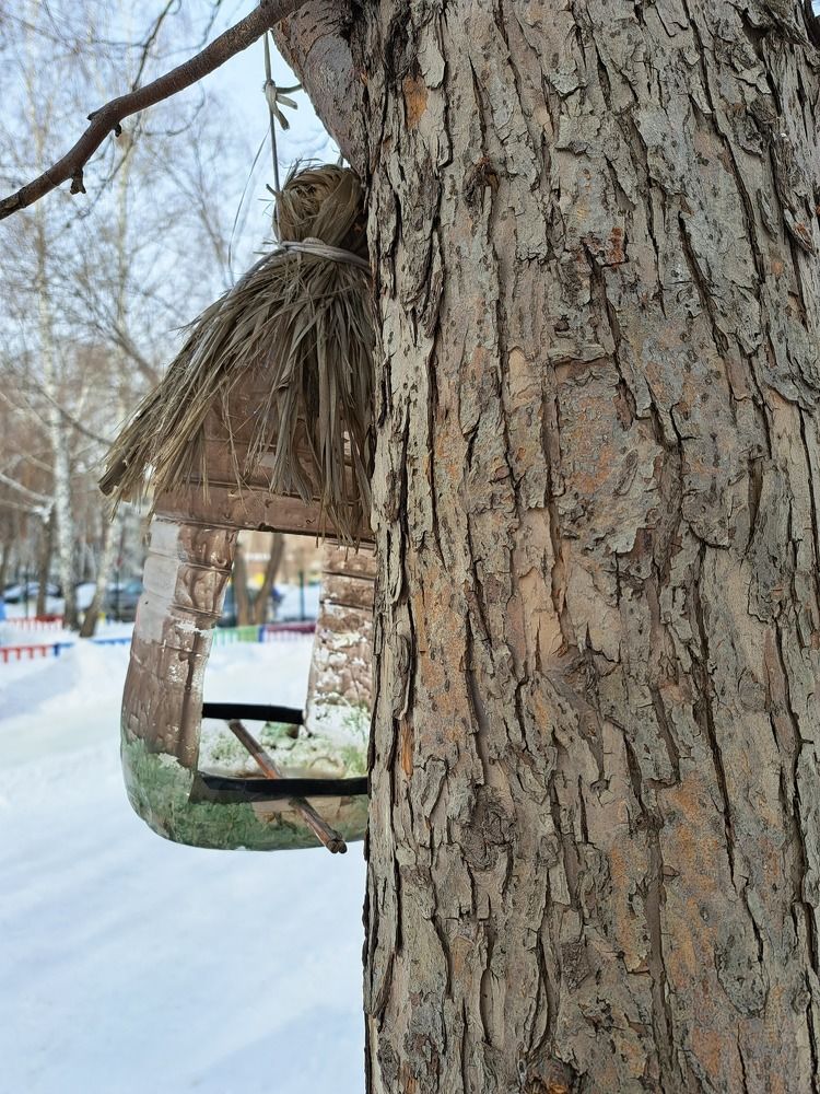 Photograph by Валентина Нохрина