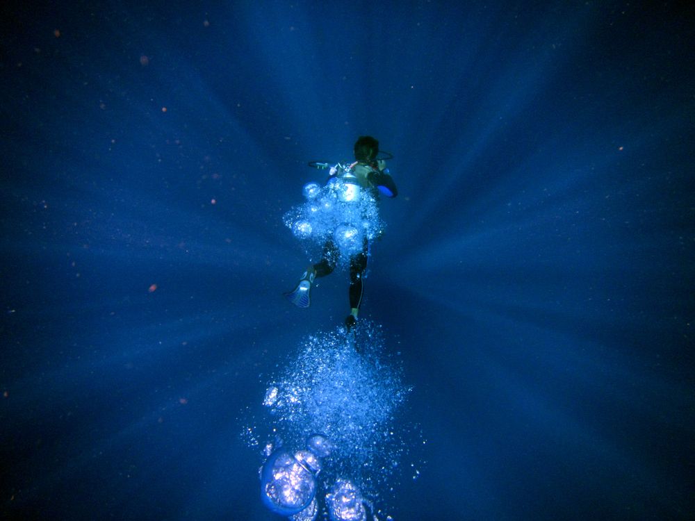 Photograph by Claudia Freitas