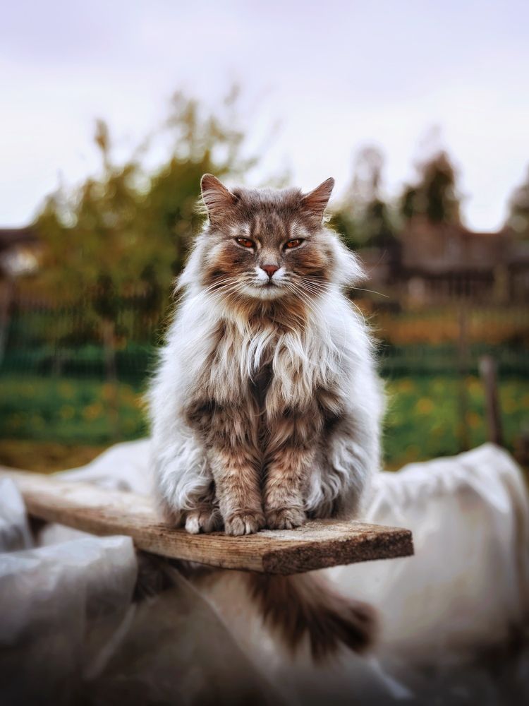 Photograph by Протасов Сергей