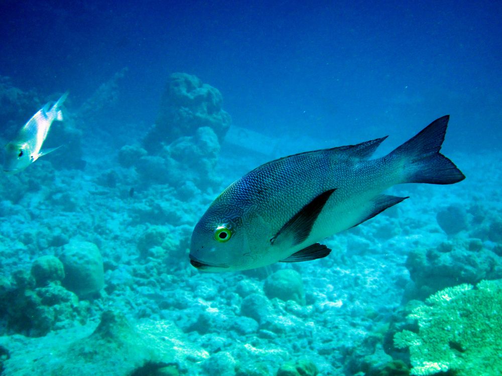 Photograph by Claudia Freitas