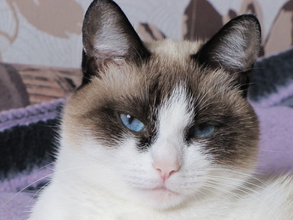 Photograph by Надежда Яковлева