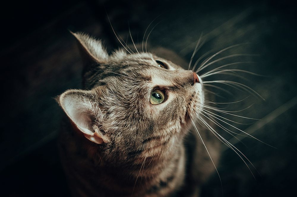 Photograph by Анастасия Макеева