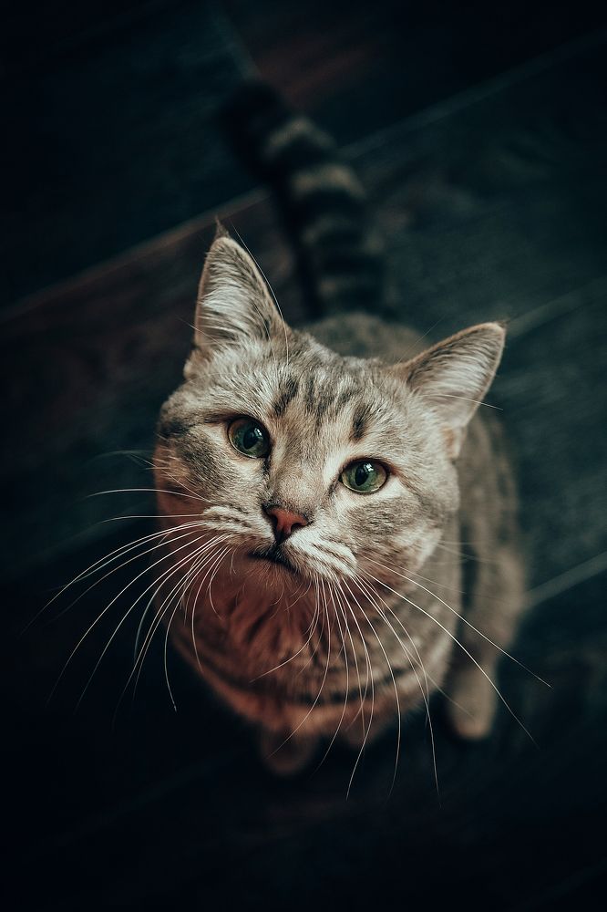 Photograph by Анастасия Макеева