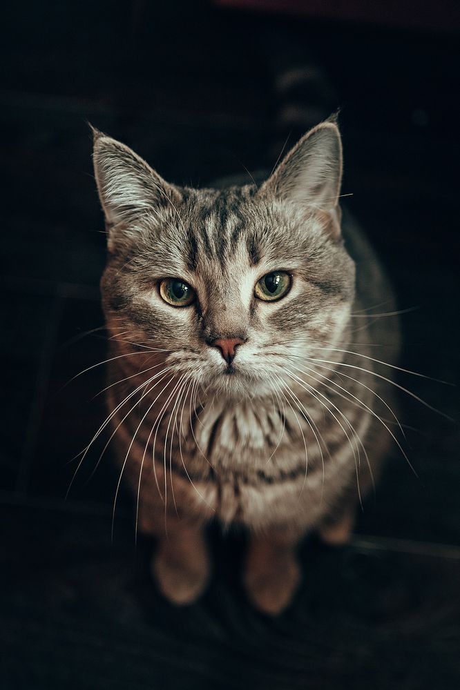 Photograph by Анастасия Макеева