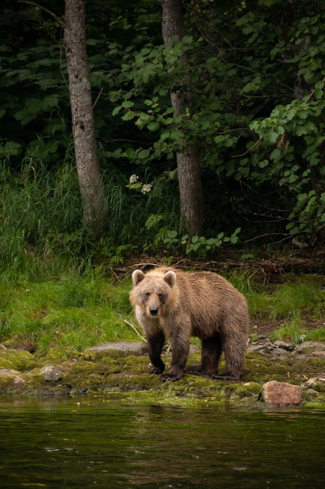 Photograph by Frolova Nataliya