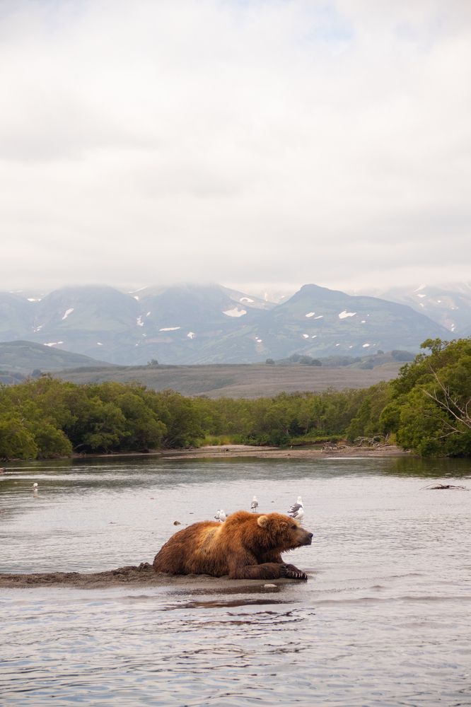 Photograph by Frolova Nataliya
