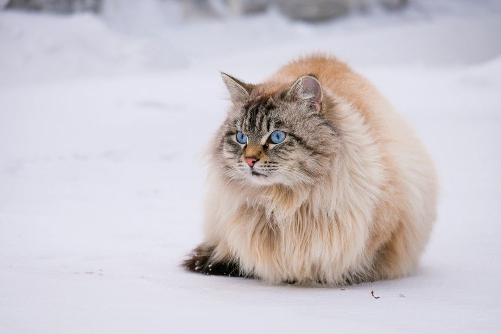 Photograph by Ольга Тюрина