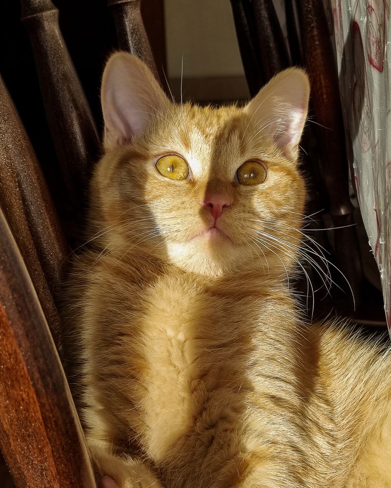 Photograph by Алеся Писнова