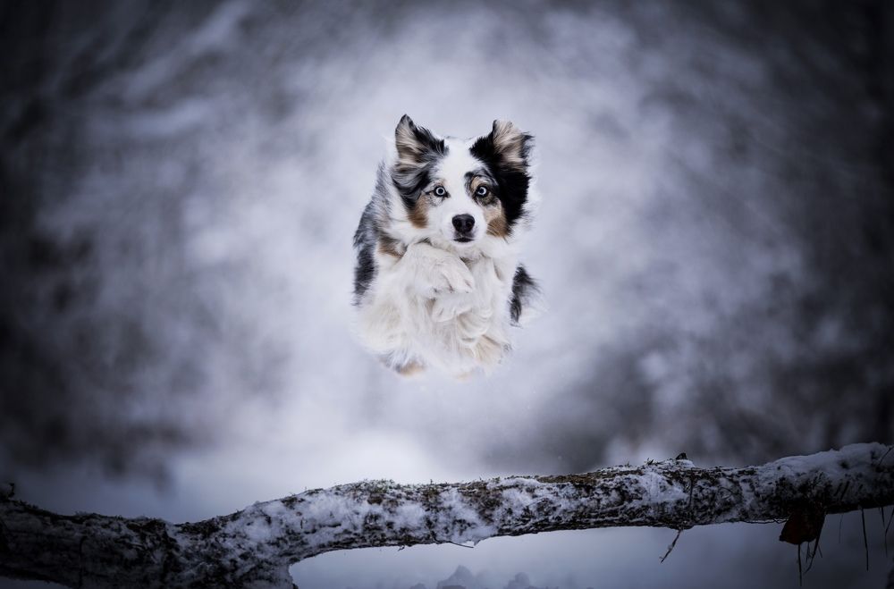 Photograph by Laura Quandt