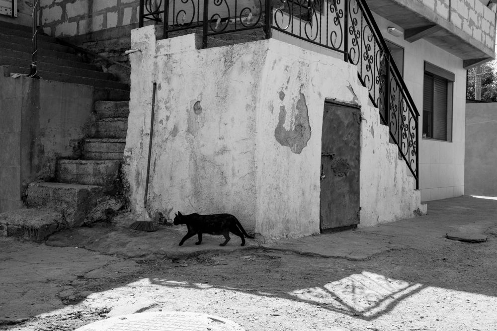 Photograph by  Dimitar