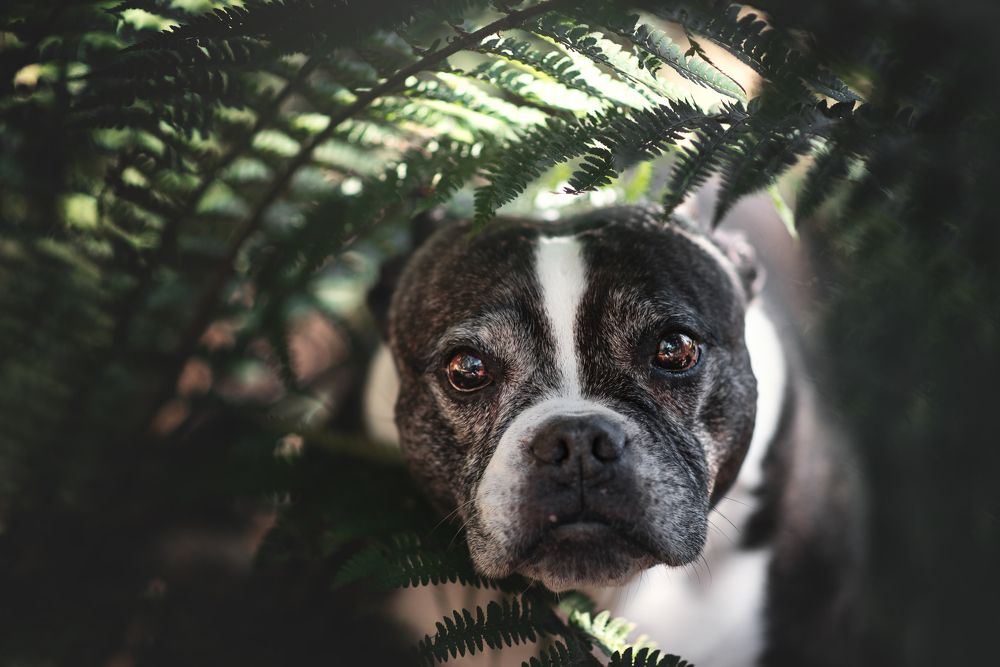 Фотография автора lucia saiz