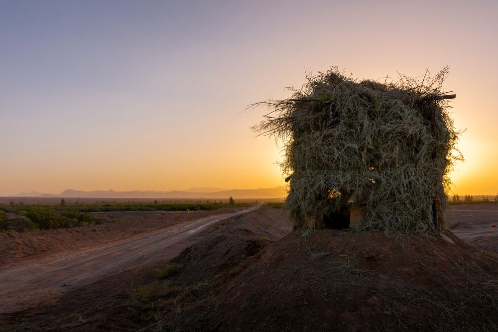 Photograph by Ali Asadi