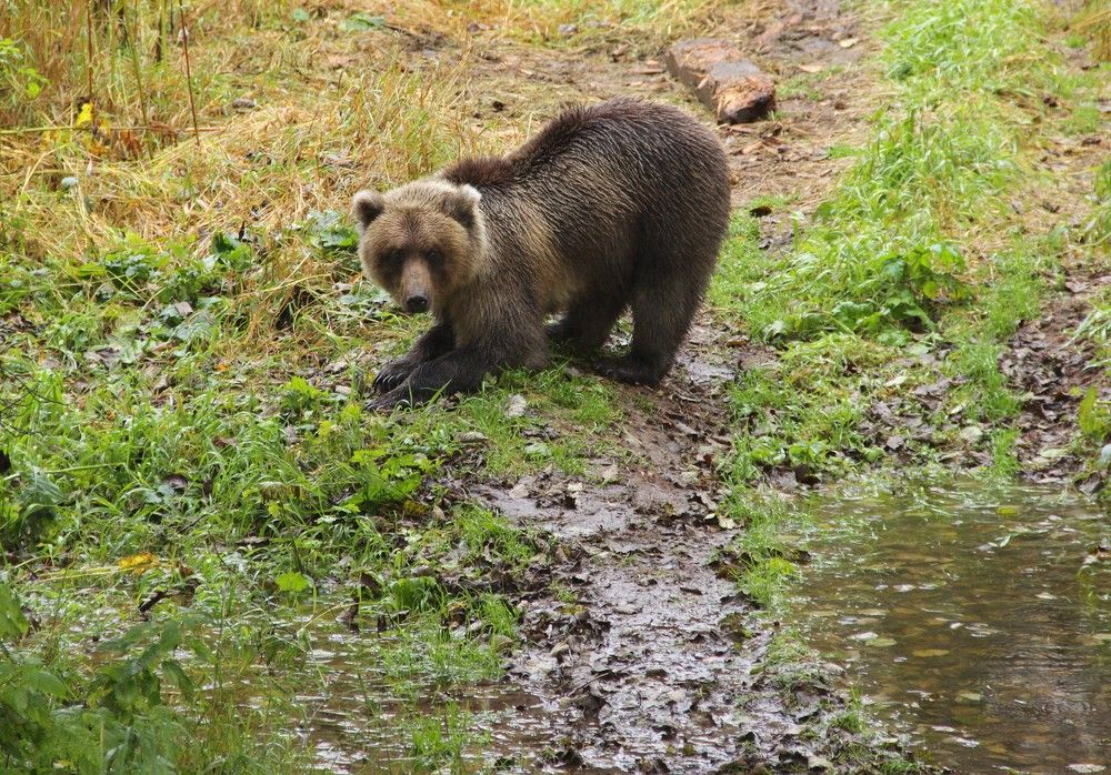 Photograph by Владимир Титов