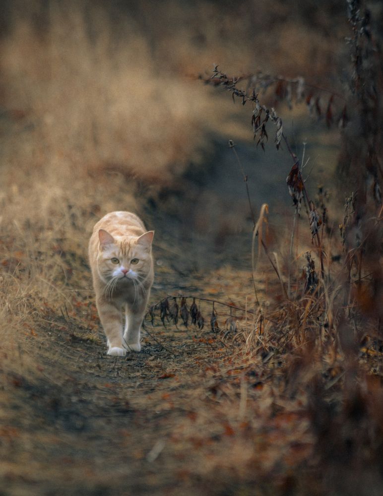 Photograph by Алексей Ознобихин