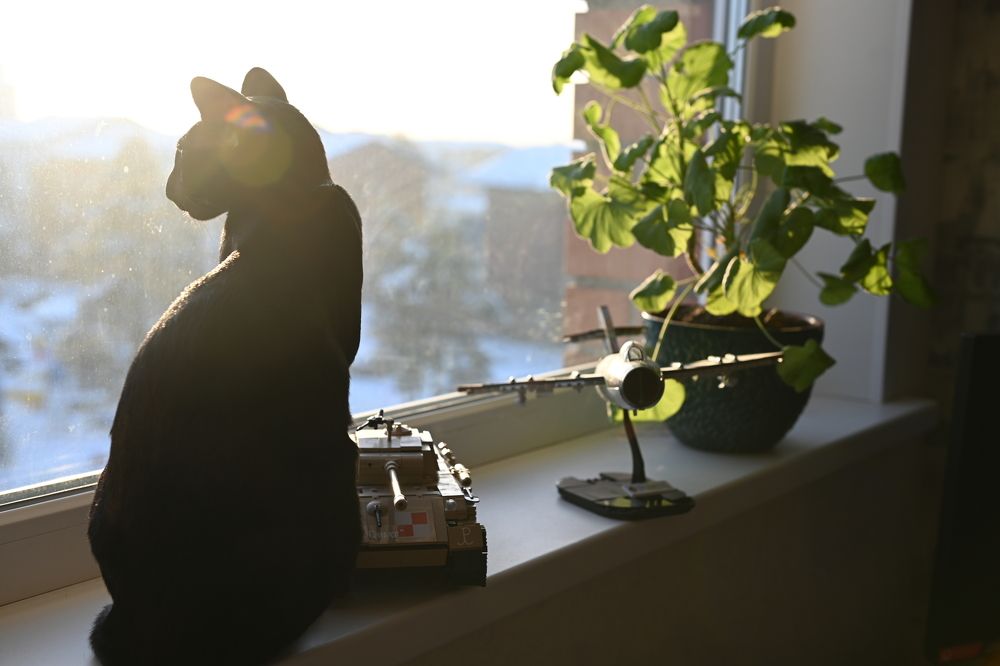 Photograph by Анна Глаговская