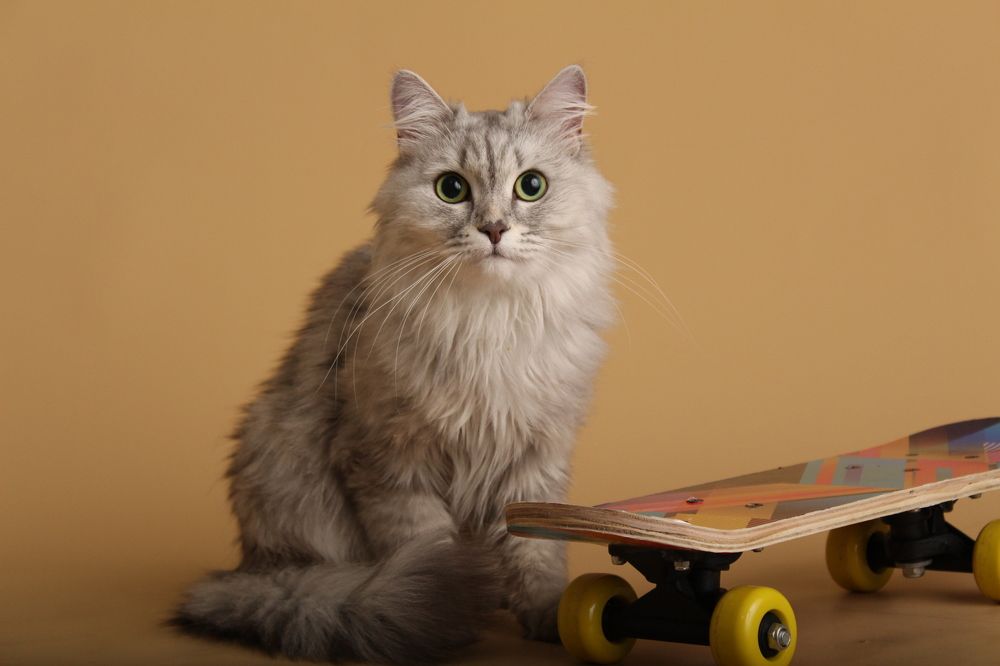 Photograph by София Орлова