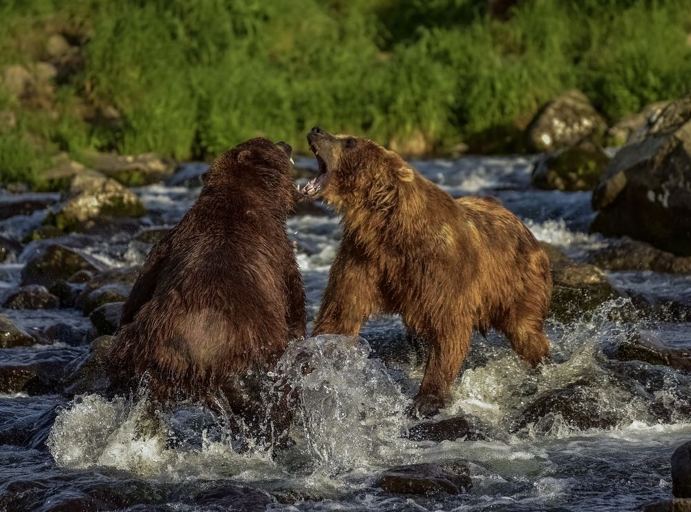 Photograph by Алексей Ознобихин
