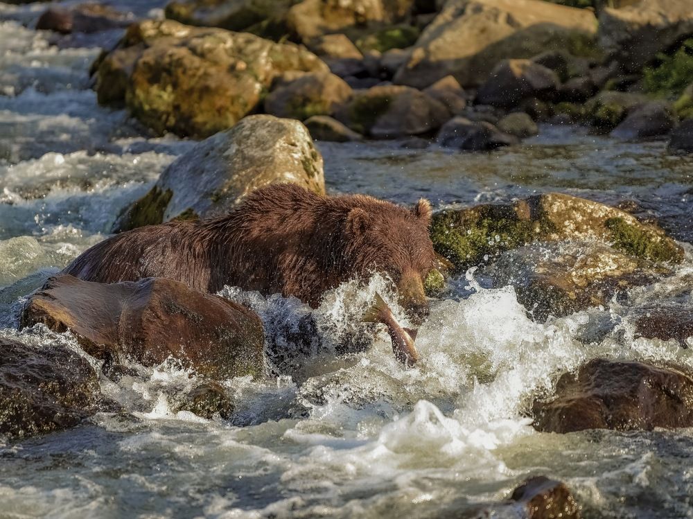 Photograph by Алексей Ознобихин