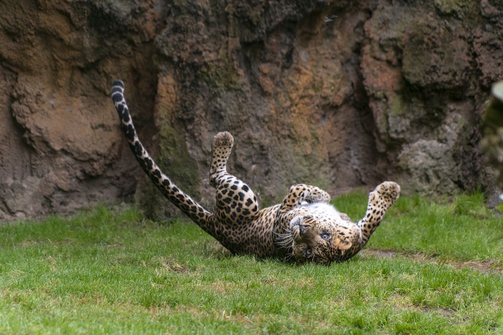 Photograph by Pablo Garces Margaix