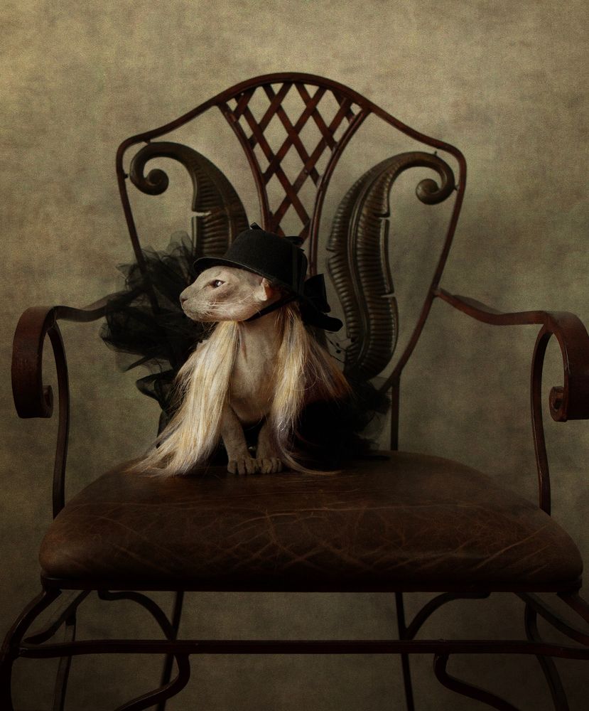 Фотография автора Galina Sa