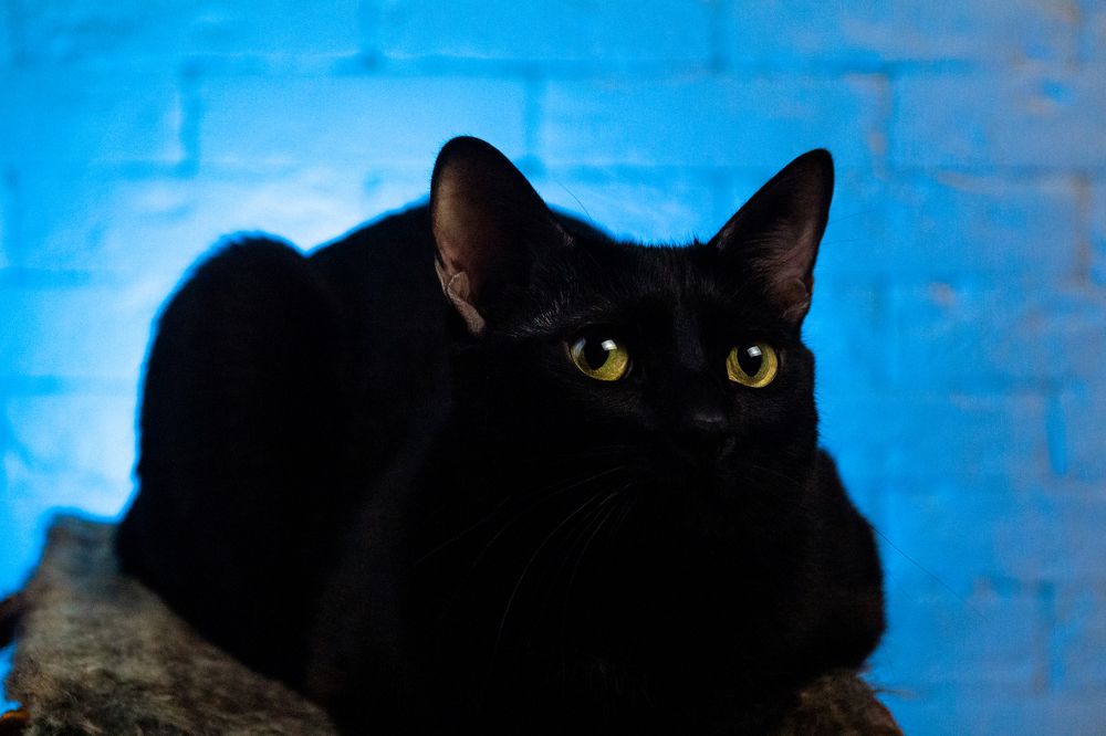 Photograph by Артём Байдаков