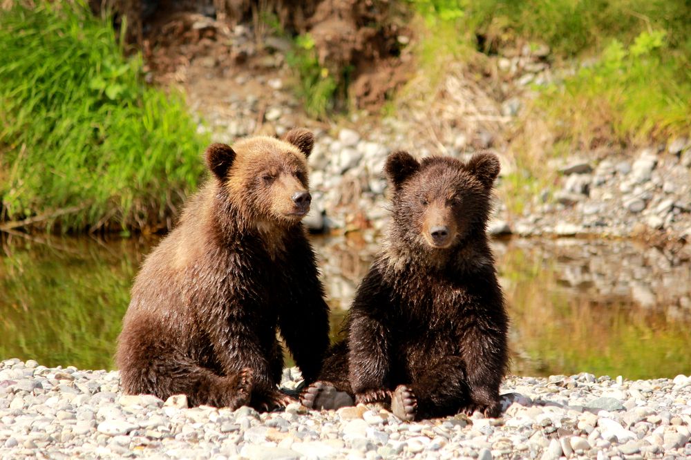 Photograph by Александр