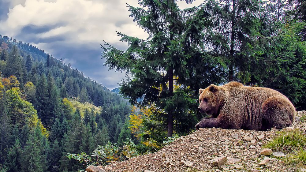 Осенняя хандра